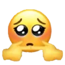 shy