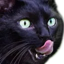 salem