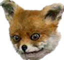 taxifox Discord emoji
