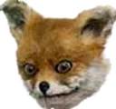 taxifox Discord Emoji