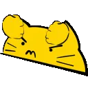 poundcat