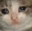Cry