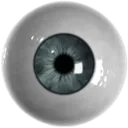 Eye