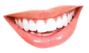 Mouth