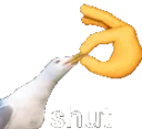 Shut