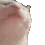 catbop