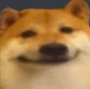 dogesmile