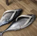 fishyflops