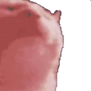 SuperBop