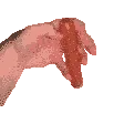 sosig