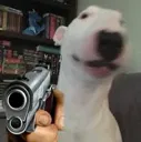 walterdeath