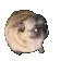 EmojiPug