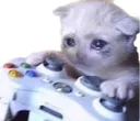 catGame