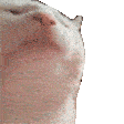 dobeacattho Discord Emoji