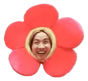 HOBIflower