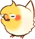 birdsigh