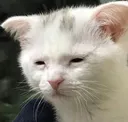 depremssion