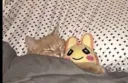 emoji_244