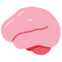 smooth_brain