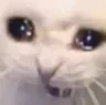 sad