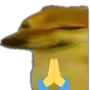 dorimepray dorimepray