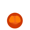 maple_hop