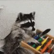 raccoonEconomy