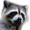 trashPanda