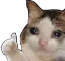 thumbsupcat thumbsupcat
