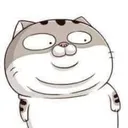 ShockFatCat Discord Emoji