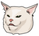 coolcat Discord emoji