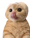 MavLickNose