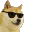 coolDoge