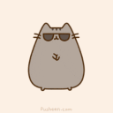 Dancecat dancecat Discord Emoji