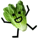 lettuce lettuce