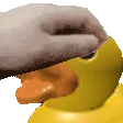pettheduck