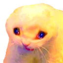 ar_sad_cat Discord Emoji