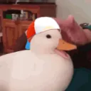 SubaPatDuck