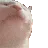 CatJam