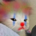 Catastrophe_CatClown