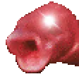 HYPERPOGGERSFISH
