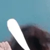 chaeyeonheadbang