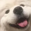 SolHappy2