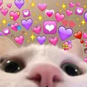 catlookin Discord Emoji