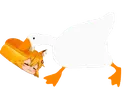 goosesenkopan