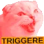 zoeTriggered