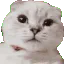 zoeHyper