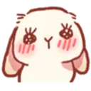bunny_wow bunny_wow