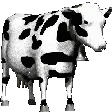 CowFlip