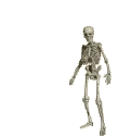 skeleton
